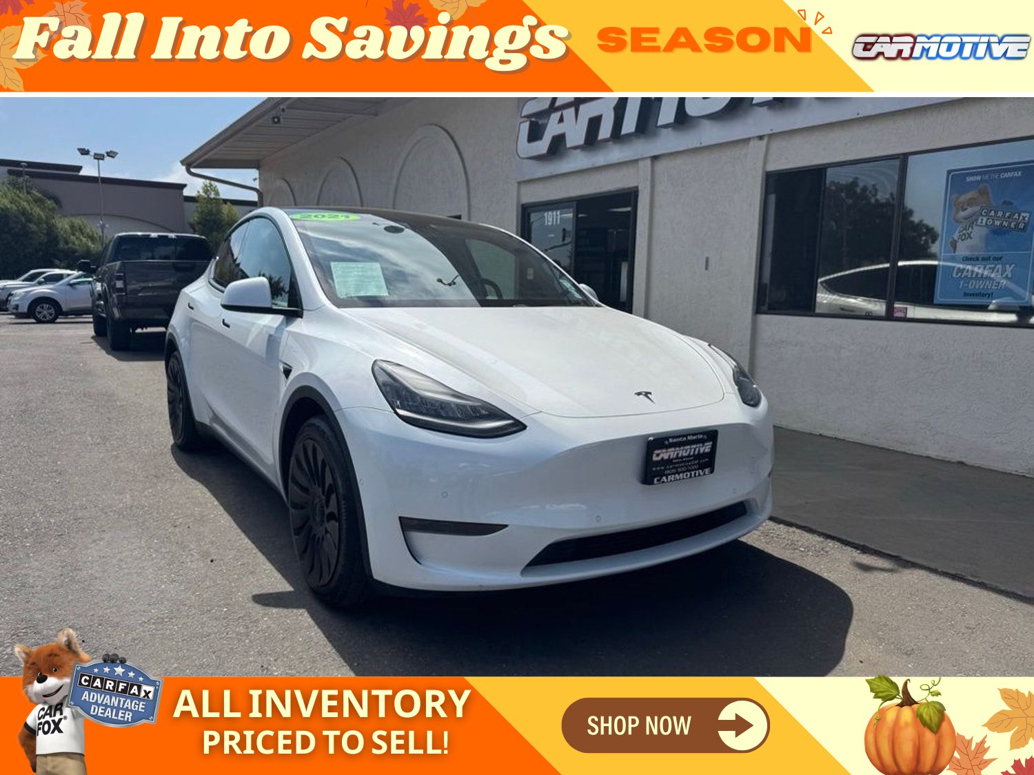 Pearl White Multi-Coat, 2021 TESLA MODEL Y Image 