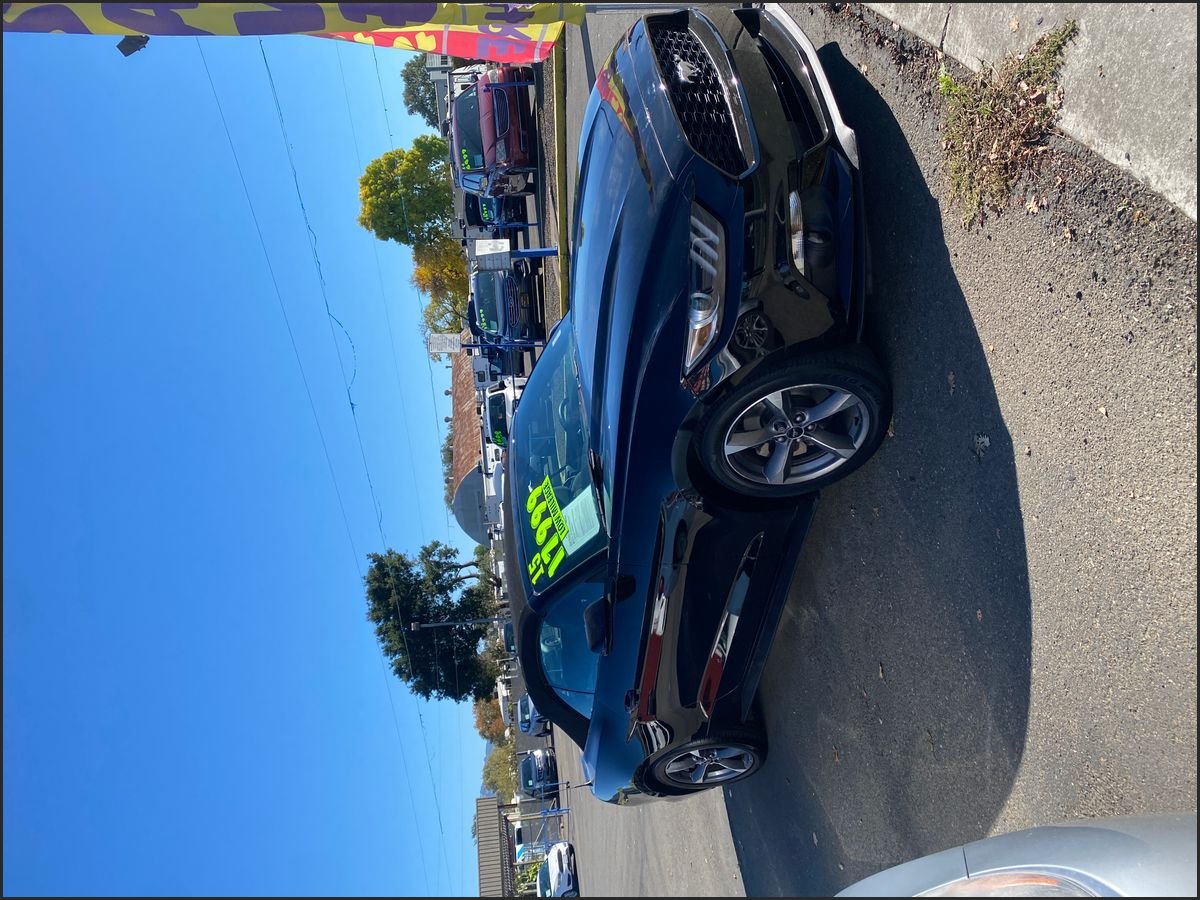BLACK, 2015 FORD MUSTANG Image 
