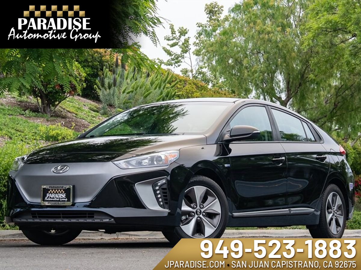 2019 HYUNDAI IONIQ ELECTRIC Image 