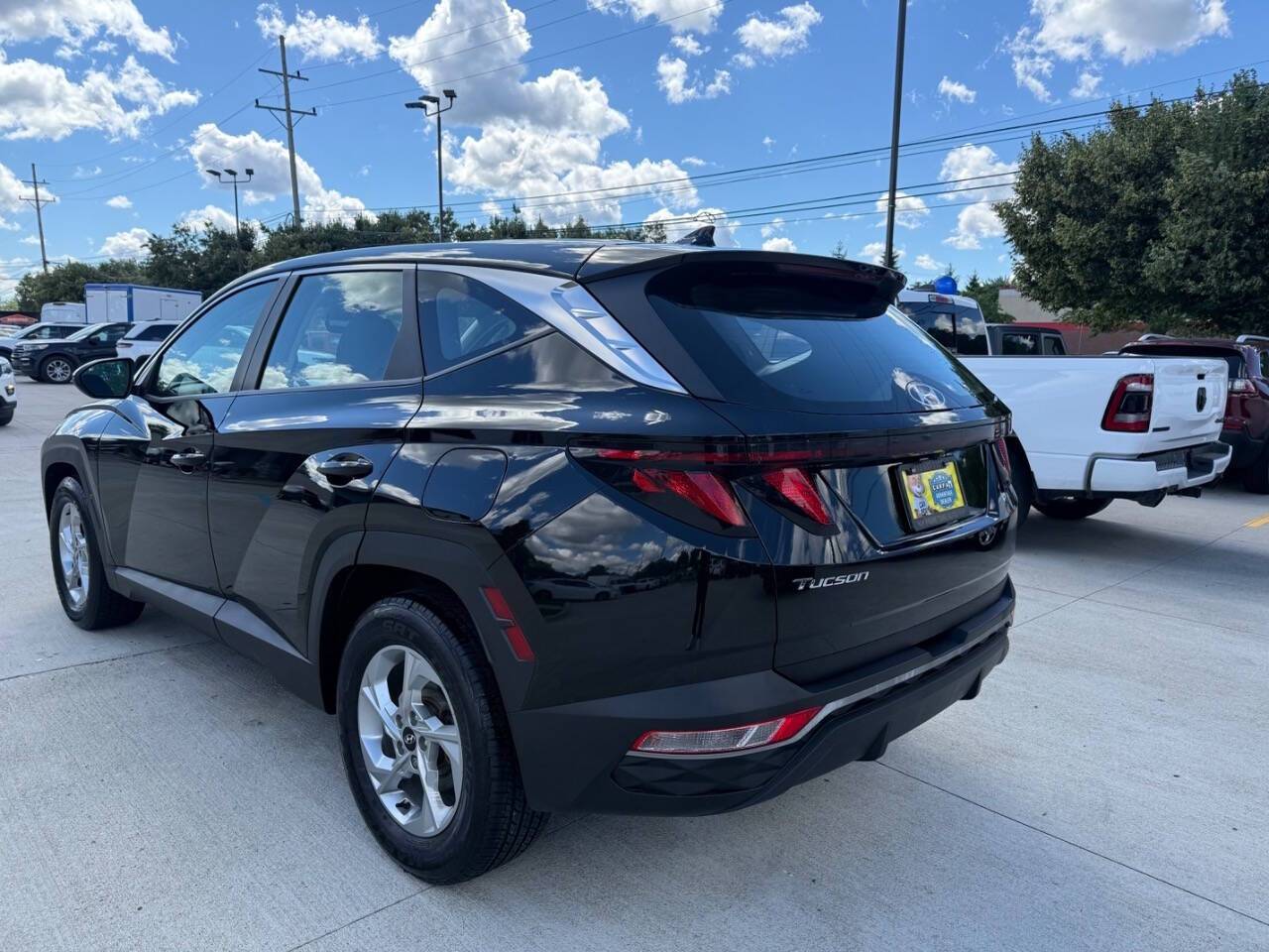 Photo 5