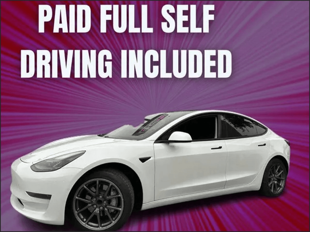 2021 Tesla Model 3 Base's photo