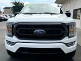 Oxford White, 2023 FORD F-150 Thumnail Image 13
