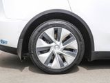 WHITE, 2021 TESLA MODEL Y Thumnail Image 13
