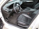 P.WHITE, 2013 CADILLAC ATS Thumnail Image 10