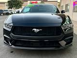 Shadow Black, 2024 FORD MUSTANG Thumnail Image 11