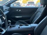 Oxford White, 2024 FORD MUSTANG Thumnail Image 12