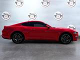 RED, 2021 FORD MUSTANG Thumnail Image 4