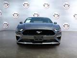 GREY, 2019 FORD MUSTANG Thumnail Image 2