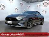 GREY, 2019 FORD MUSTANG Thumnail Image 1