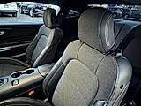 Shadow Black, 2024 FORD MUSTANG Thumnail Image 16