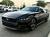 Shadow Black, 2024 FORD MUSTANG Thumnail Image 9