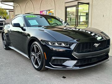 Shadow Black, 2024 FORD MUSTANG Image 