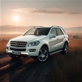 WHITE, 2007 MERCEDES-BENZ M-CLASS Image 