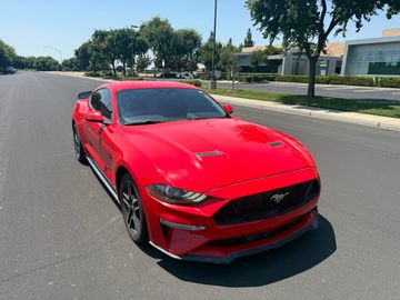2019 FORD MUSTANG for sale in MODESTO