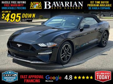 2019 Ford Mustang for sale in BAYONNE