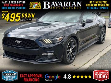 2017 FORD MUSTANG for sale in BAYONNE