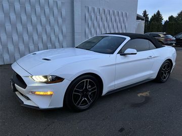 OXFORD WHITE, 2019 FORD MUSTANG Image 