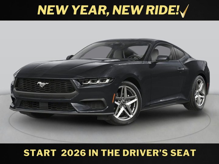 2024 FORD MUSTANG for sale in SANTA MARIA