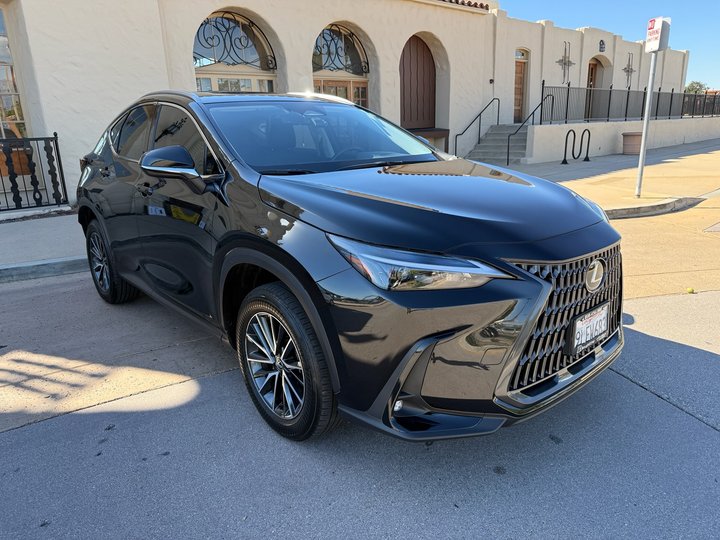 2024 LEXUS NX for sale in GLENDALE
