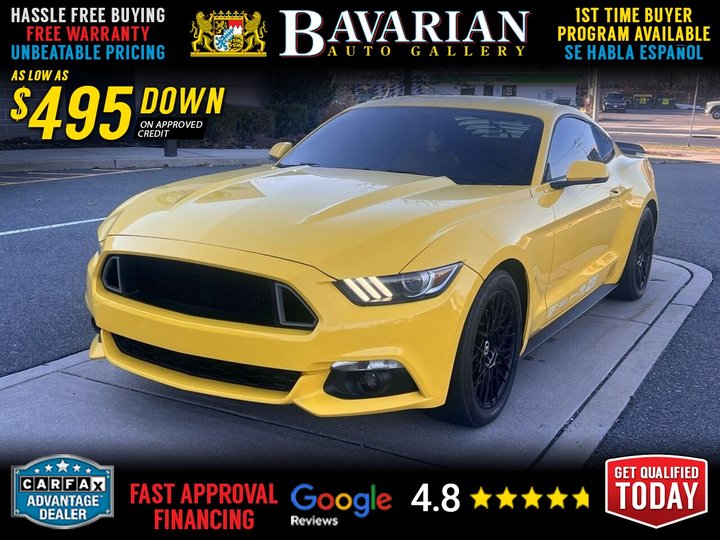 2017 Ford Mustang for sale in BAYONNE
