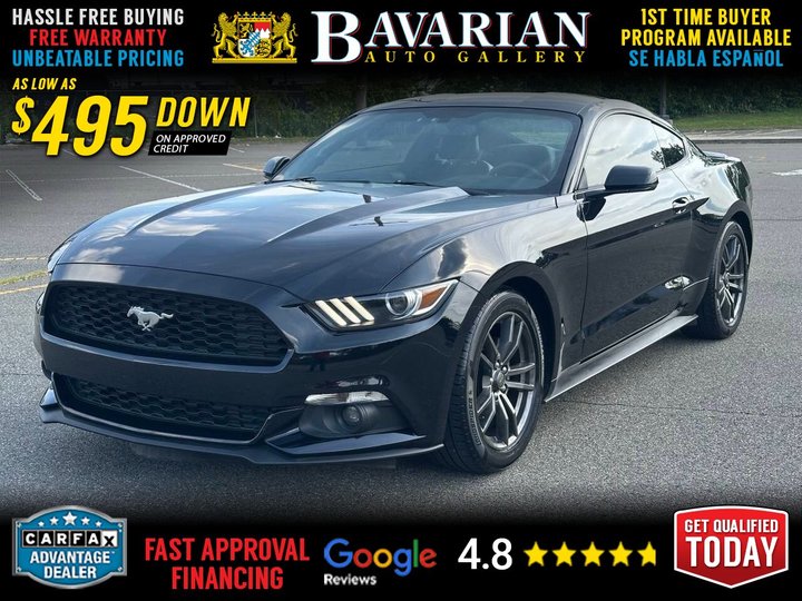 2016 FORD MUSTANG for sale in BAYONNE