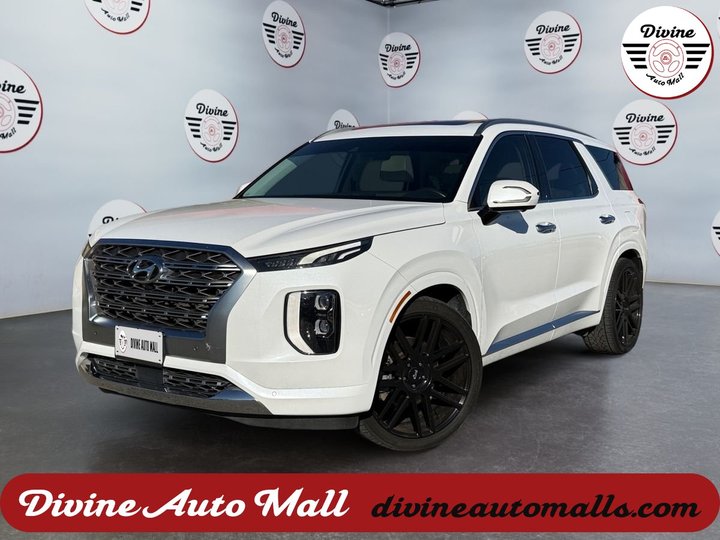 WHITE, 2020 HYUNDAI PALISADE Image 