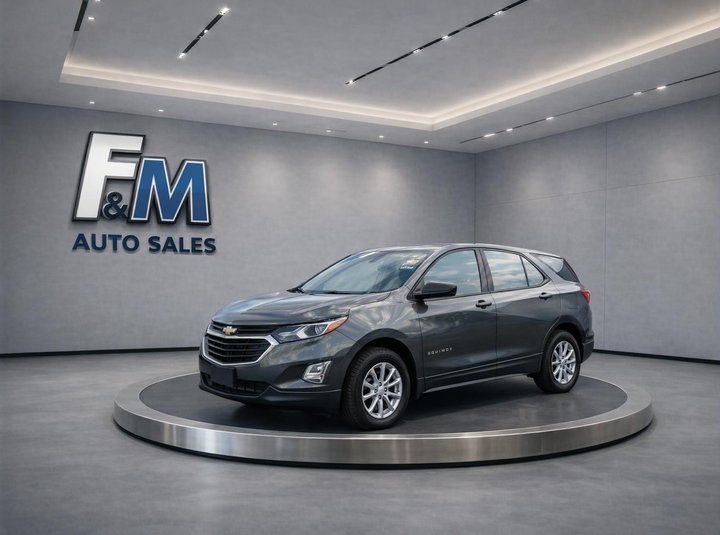 2019 CHEVROLET EQUINOX for sale in DETROIT