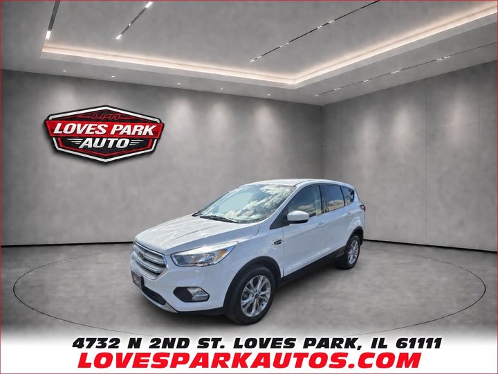 2019 FORD ESCAPE for sale in LOVES PARK